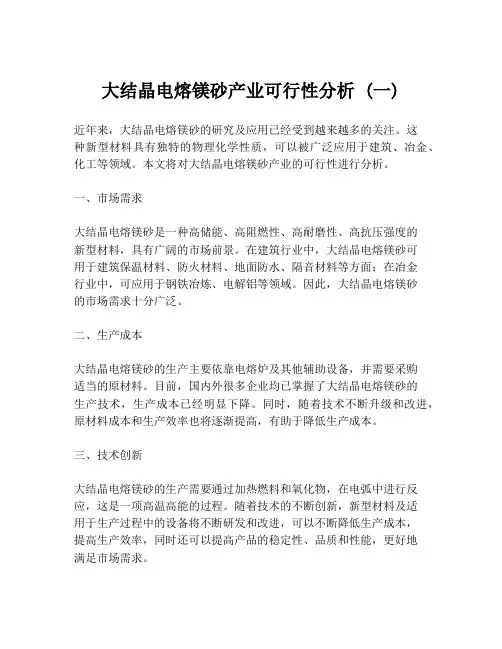 大结晶电熔镁砂产业可行性分析 (一)
