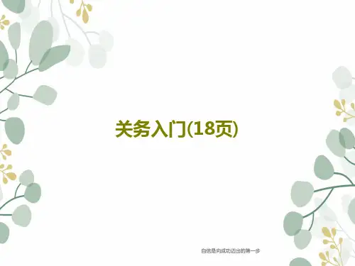 关务入门(18页)PPT文档20页