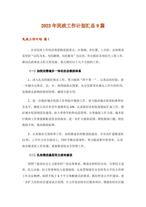 2023年民政工作计划汇总9篇