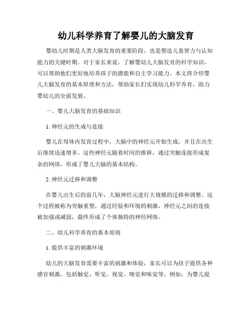 幼儿科学养育了解婴儿的大脑发育