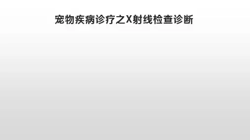 宠物疾病诊疗之X射线检查诊断