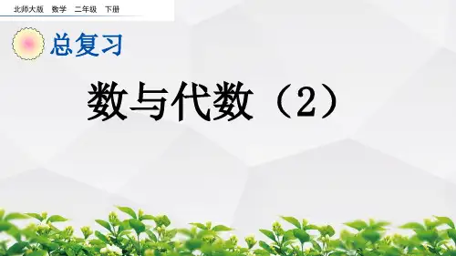 北师大版数学二年级下册课件：总复习.2 数与代数(2)