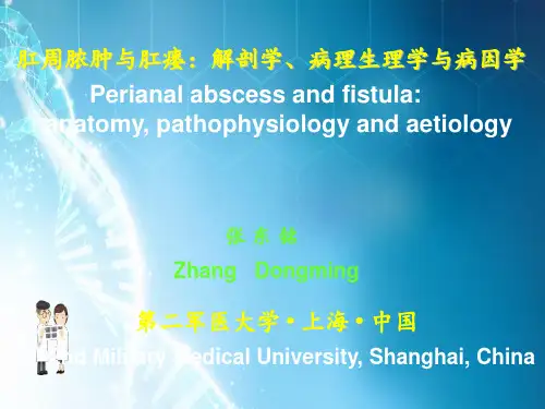 肛周脓肿与肛瘘ppt课件