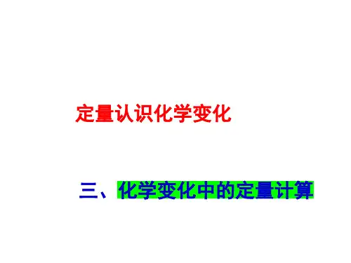 沪教版(上海)初中化学九年级上册 3.3  定量认识化学变化  课件 