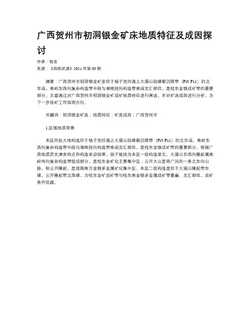 广西贺州市初洞银金矿床地质特征及成因探讨
