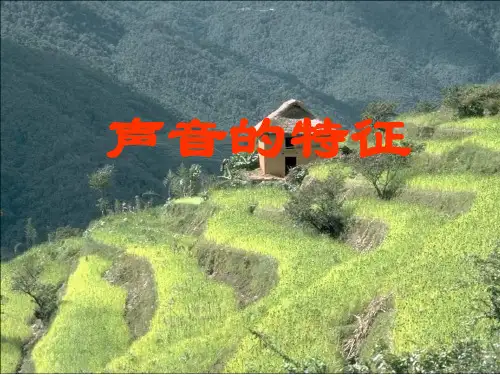 初中物理《声音的特征》(共24张)精品PPT课件