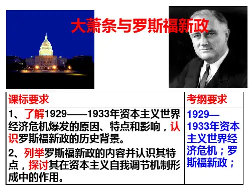 岳麓书社版高中历史必修二3.15《大萧条与罗斯福新政》课件(25张)(共25张PPT)