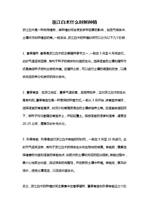 浙江白术什么时候种植