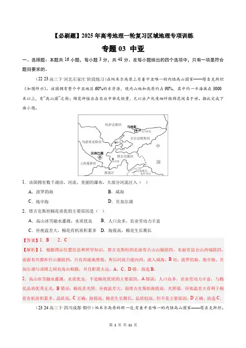 专题09 中亚(专项训练)-2025年高考《地理》一轮复习区域地理必刷题专项训练(解析版)