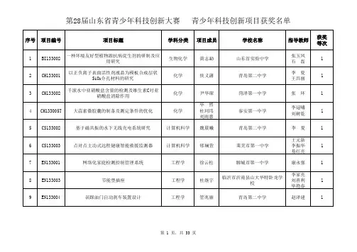 第28届山东省青少年科技创新大赛青