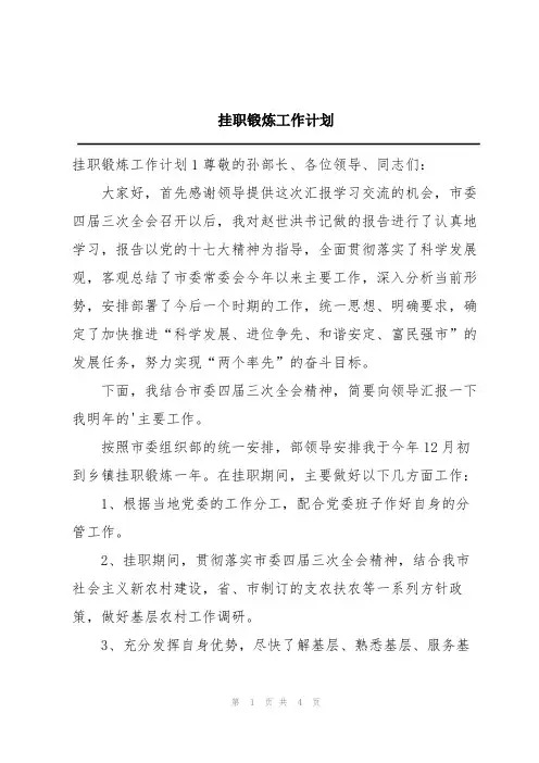 挂职锻炼工作计划