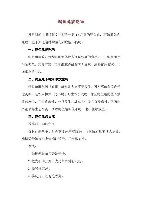鳄鱼龟能吃吗