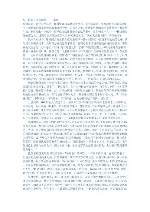 与一株蒲公英的默契(现代文阅读)