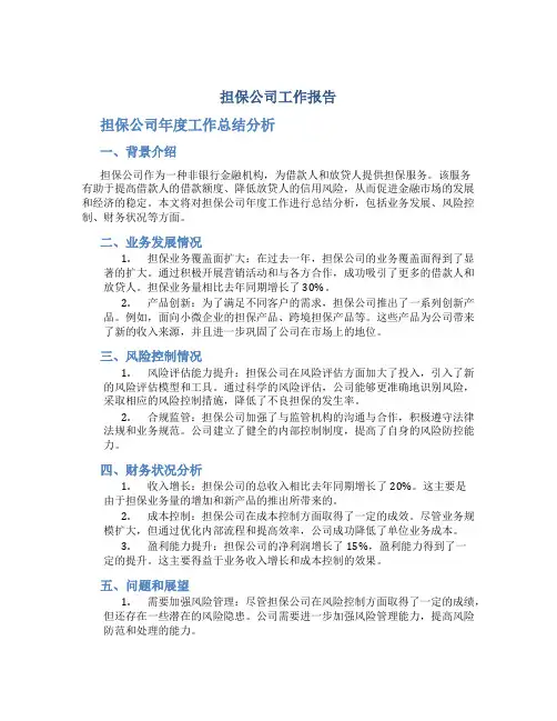担保公司工作报告 担保公司年度工作总结分析