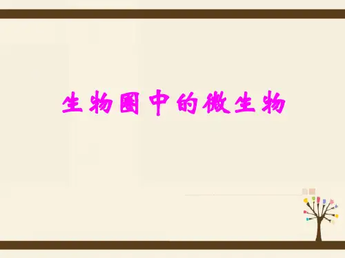 生物圈中的微生物