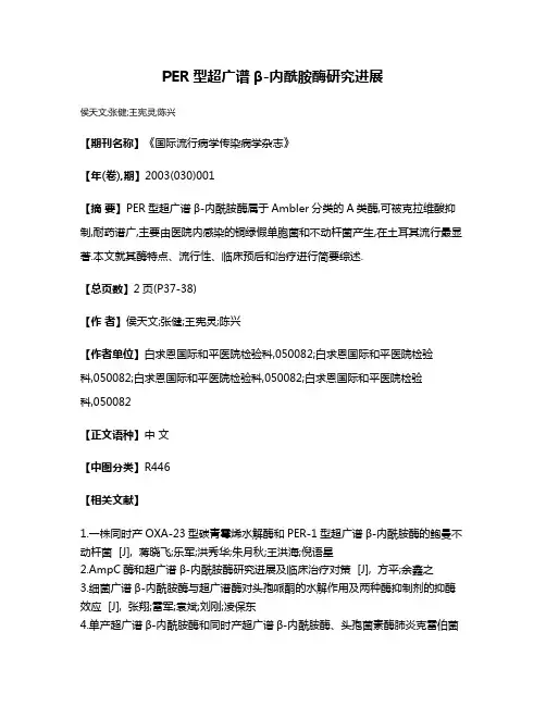 PER型超广谱β-内酰胺酶研究进展