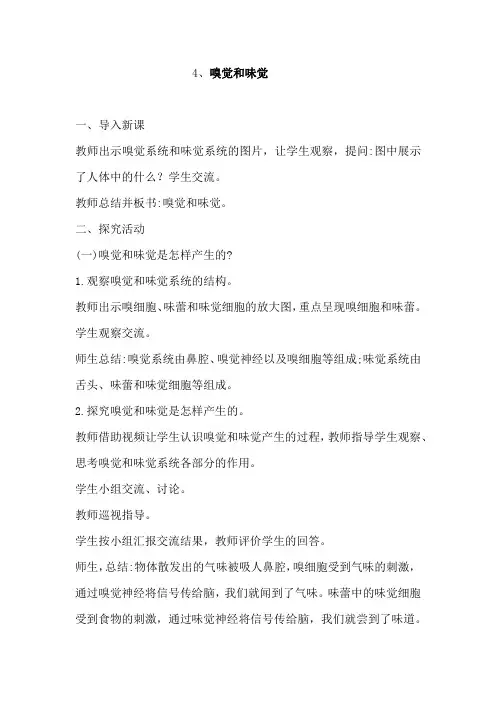 青岛出版社科学六年级下册4、嗅觉和味觉