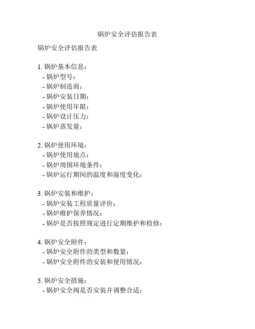 锅炉安全评估报告表
