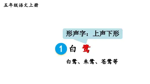 1 白鹭 课件(共26张PPT)
