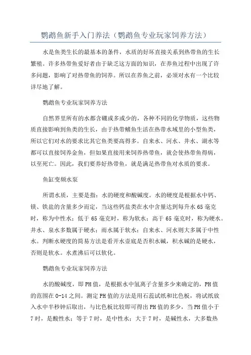鹦鹉鱼新手入门养法(鹦鹉鱼专业玩家饲养方法)