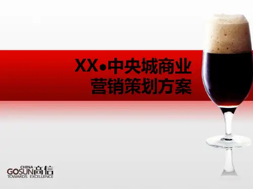 XX中央城住宅底商营销策划方案