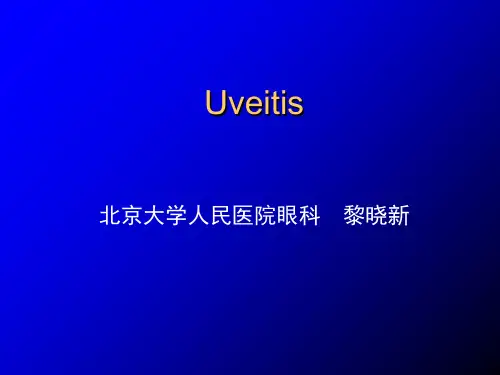 眼科学葡萄膜炎(课堂PPT)