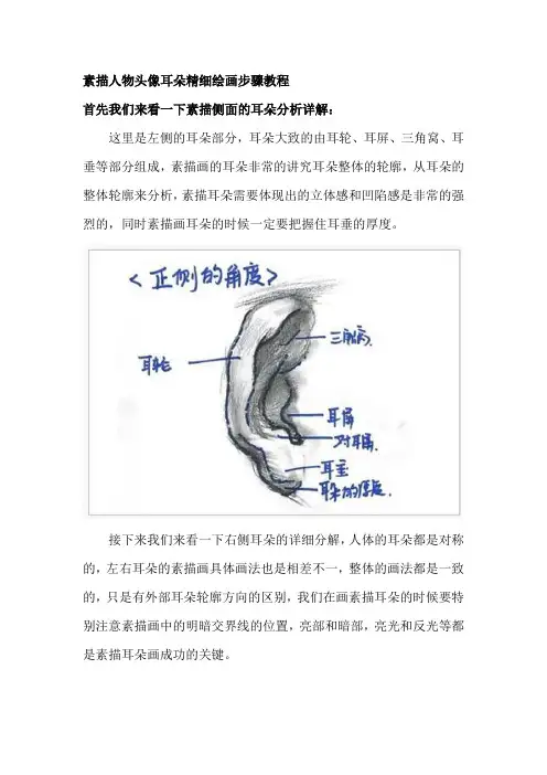素描人物头像耳朵精细绘画步骤教程