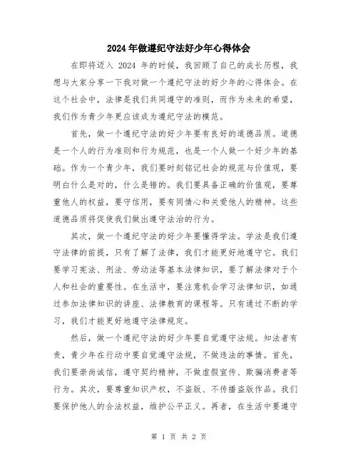 2024年做遵纪守法好少年心得体会