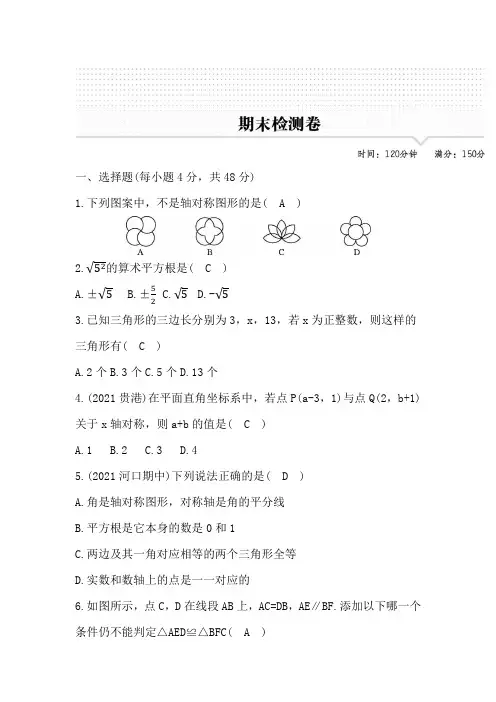 2022年鲁教版五四制七年级数学上册期末测试题及答案