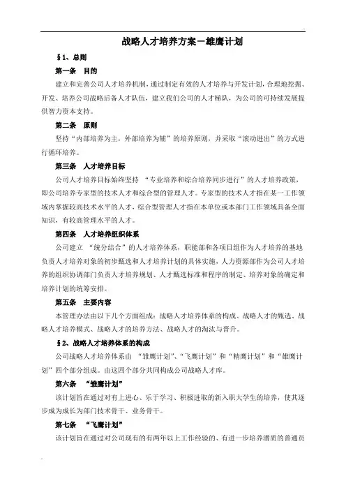 战略人才培养方案-雄鹰计划 (2)