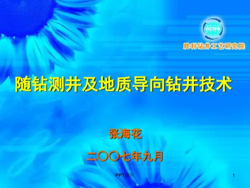 随钻测井及地质导向钻井技术  ppt课件