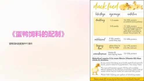 《蛋鸭饲料的配制》课件