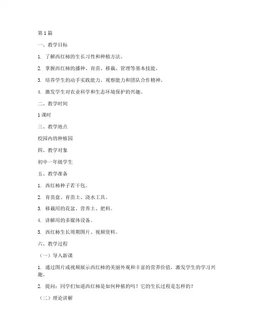 实践课西红柿种植教学(3篇)