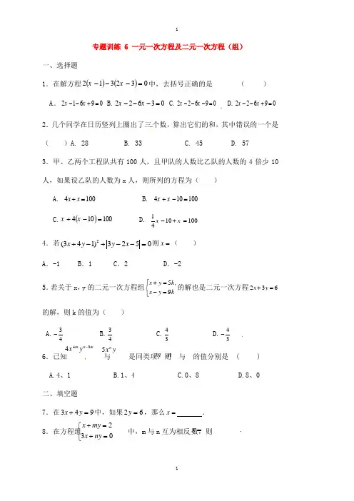 鲁教版数学中考二轮复习专题训练6一元一次方程及二元一次方程无答案