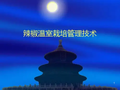 辣椒温室栽培管理34PPT课件