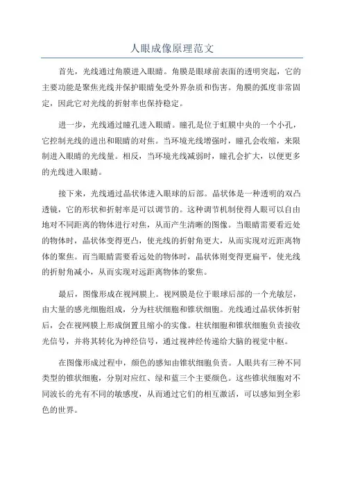 人眼成像原理范文