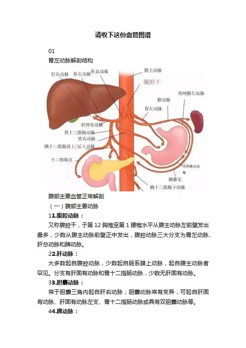 请收下这份血管图谱