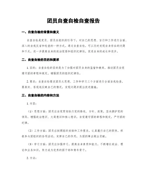 团员自查自检自查报告