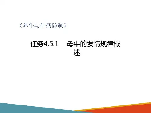 牛的繁殖种牛的饲养管理—牛的发情鉴定