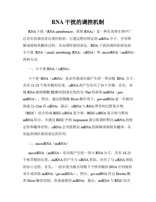 RNA干扰的调控机制