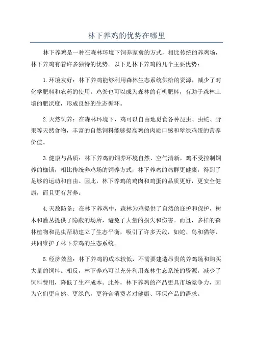 林下养鸡的优势在哪里