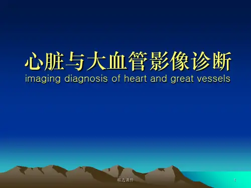 循环系统影像诊断ppt课件