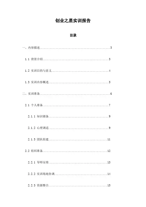 创业之星实训报告