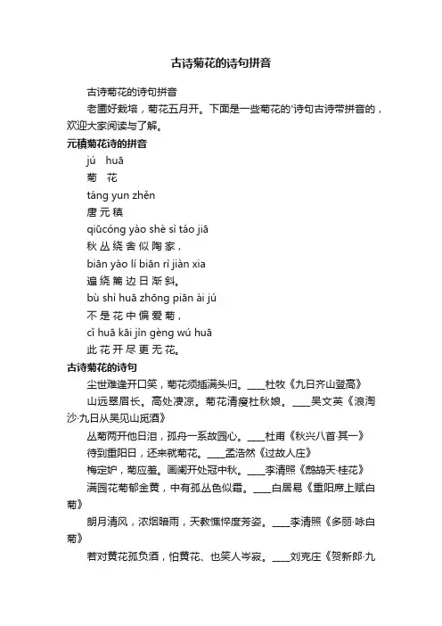 古诗菊花的诗句拼音