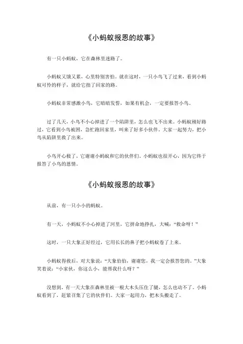 小蚂蚁报恩的故事