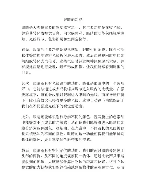 眼睛的功能