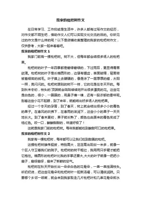 我家的枇杷树作文