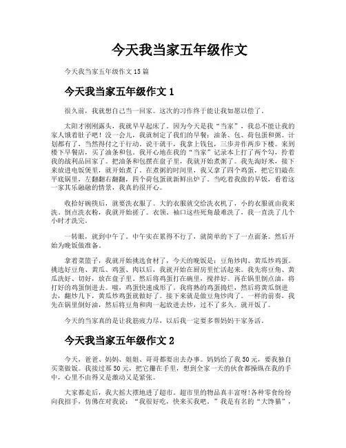 今天我当家五年级作文