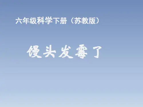 科学苏教版六年级上册科学课件-1.3 馒头发霉了