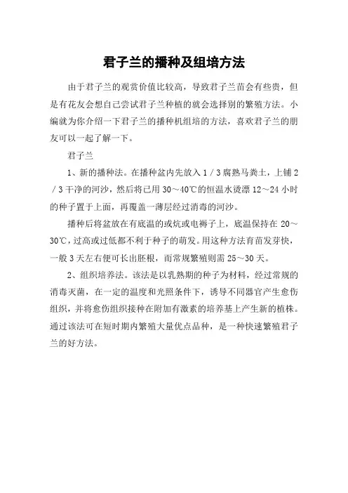 君子兰的播种及组培方法